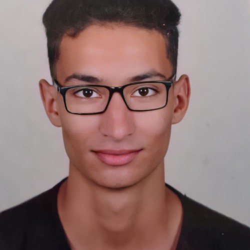 Abdelhalim F.