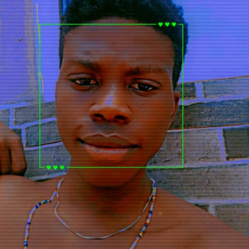 Chibuike  L. profile photo