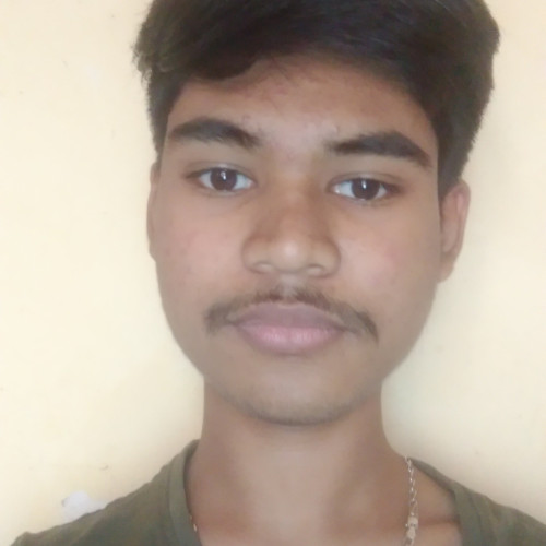 Vishnu V. profile photo