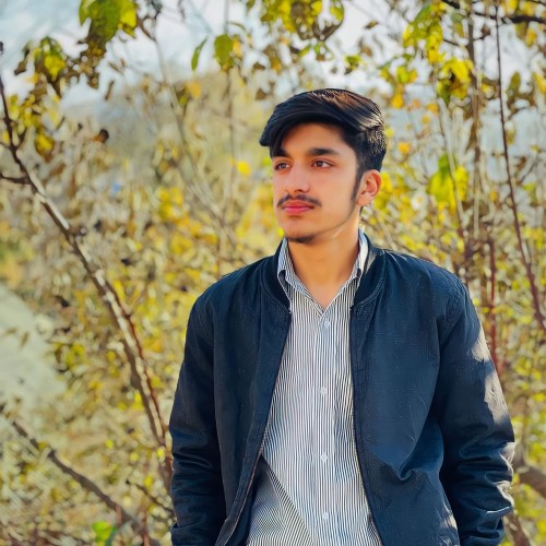 Zafar  M.