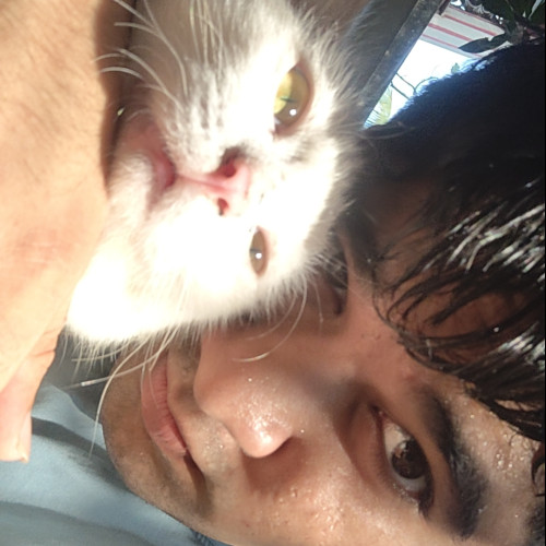 Shivam M. profile photo