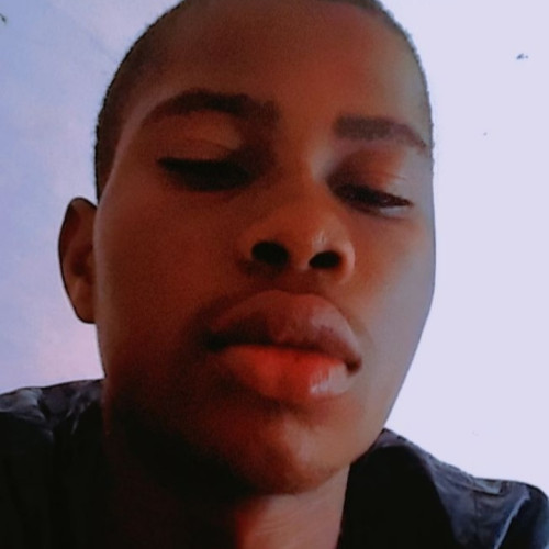 Ajala  E. profile photo