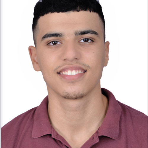 Reda M. profile photo