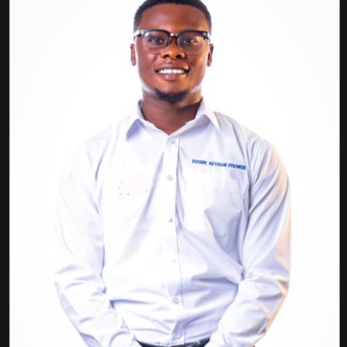 Promise  S. profile photo