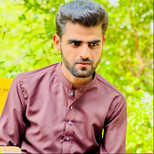 Ali K.