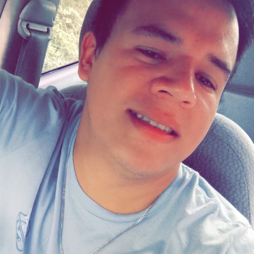 levi osmelin t.