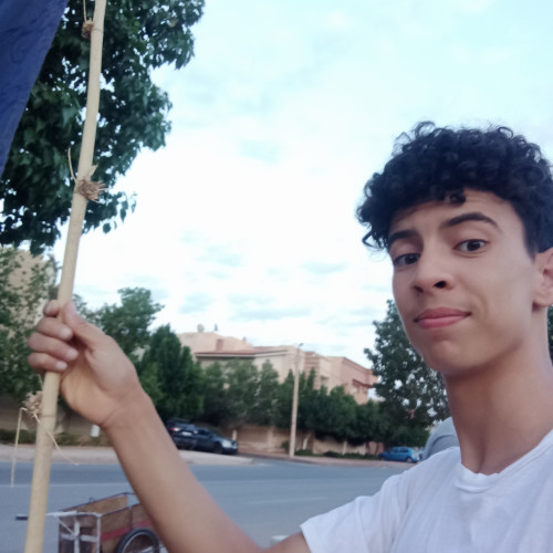Mehdi V. profile photo