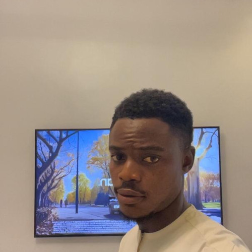 Oluwagbenro O. profile photo