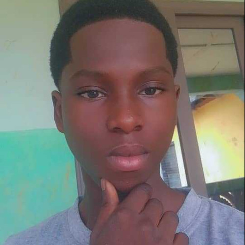 Adjei s.