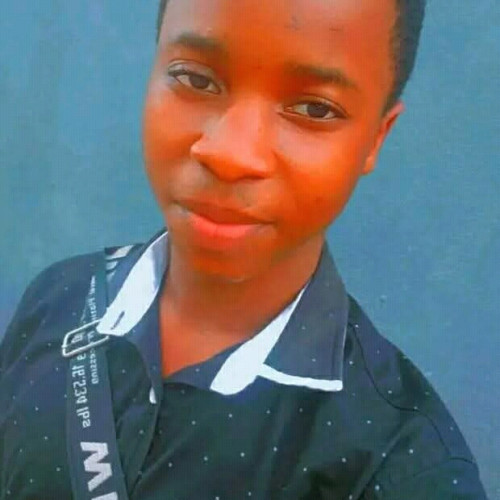 Amadi  E. profile photo