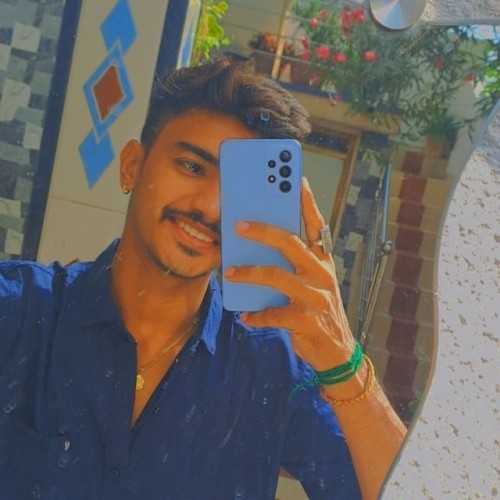 Kaushik K.