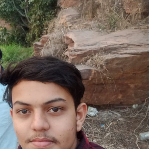 Bipu G.