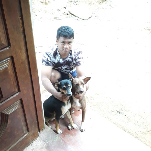 Dilshan Tharindu  J.