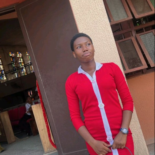 Chisom P. profile photo
