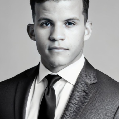 Mehdi C.