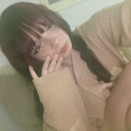 steff s. profile photo