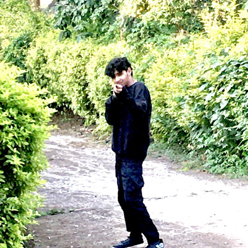 Adam H. profile photo