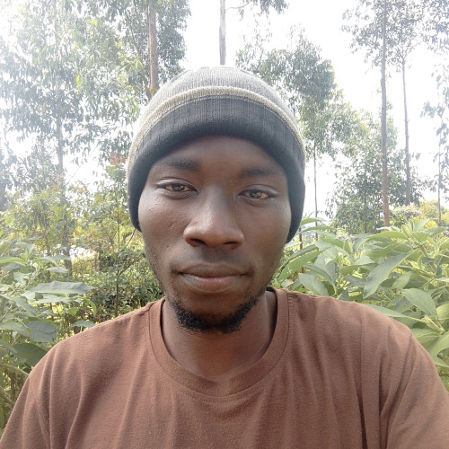 FELIX N. profile photo