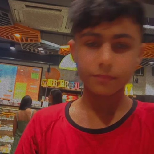 Pulkit N.