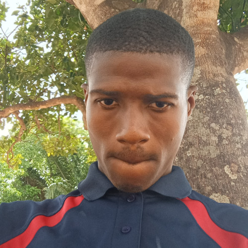 Taofeek  O. profile photo