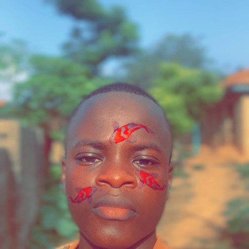 Certified S. profile photo