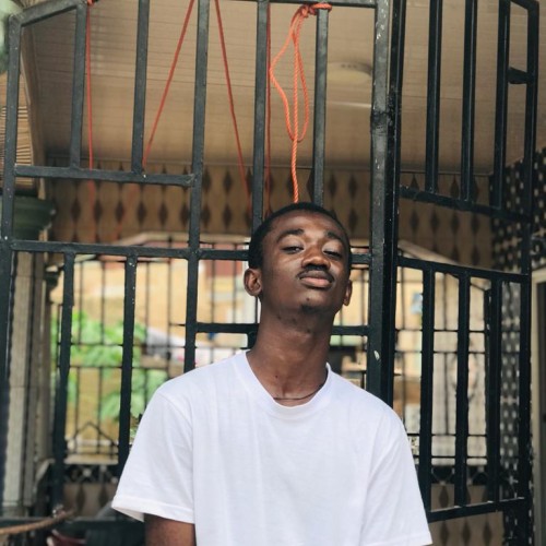 Rocky N.