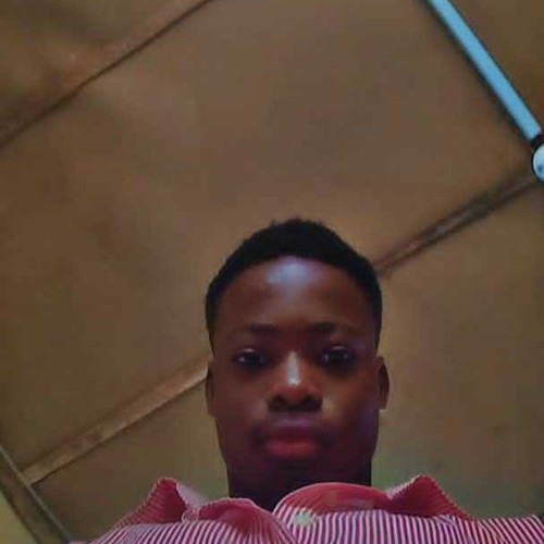 Steven S. profile photo