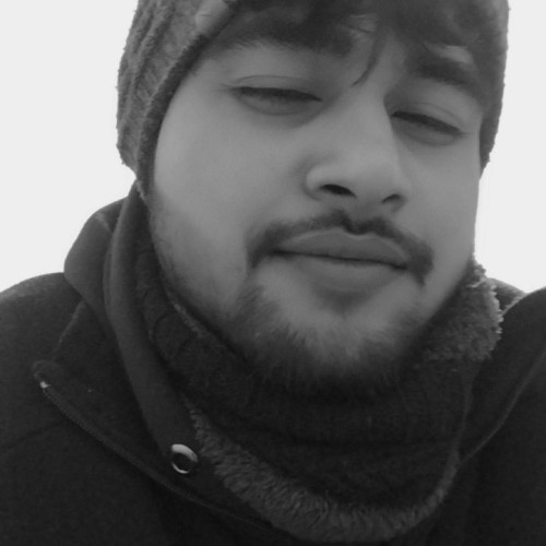 Vaibhav B. profile photo