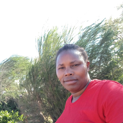 peris n. profile photo