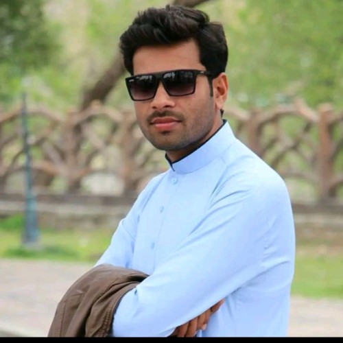 Faizan A.