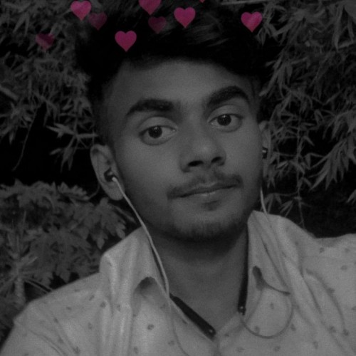 Anish  N.
