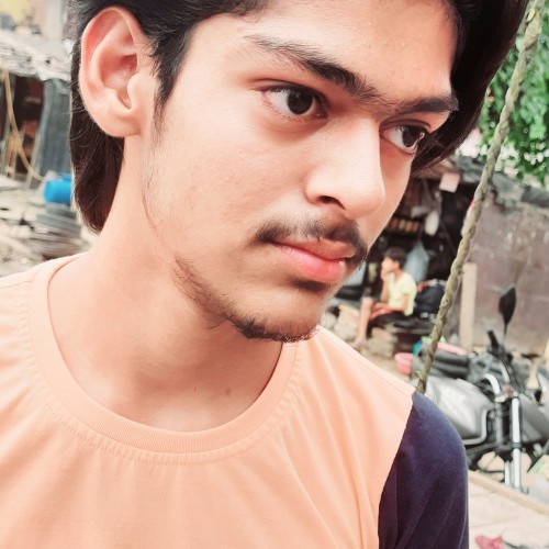 Ritesh S.
