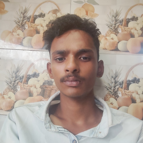 Shamil A. profile photo