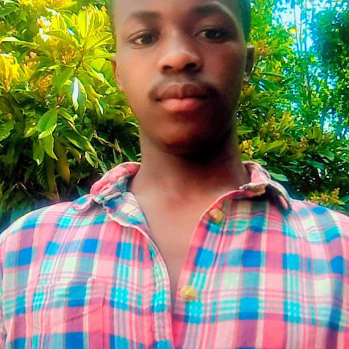 Alphonse N. profile photo