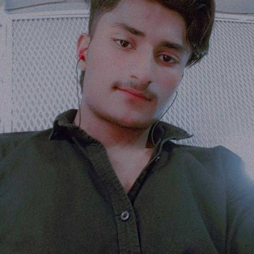 Shahid H. profile photo