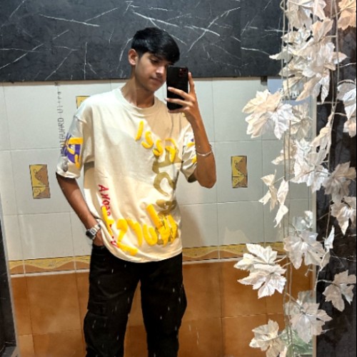 Kartik K.