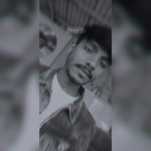 Sai U. profile photo
