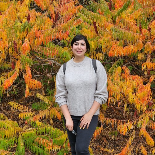 Pardis S. profile photo