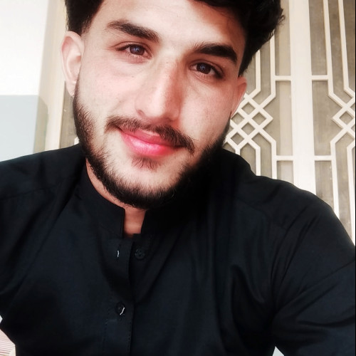 Aness A. profile photo