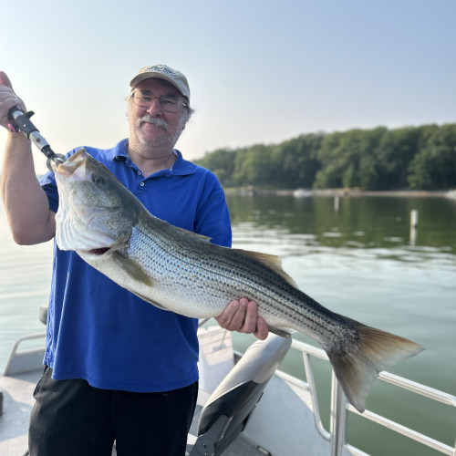 Brian B. profile photo