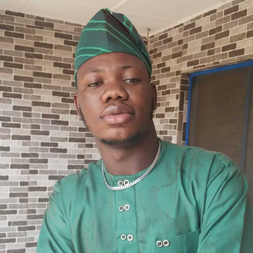 Omotayo A. profile photo