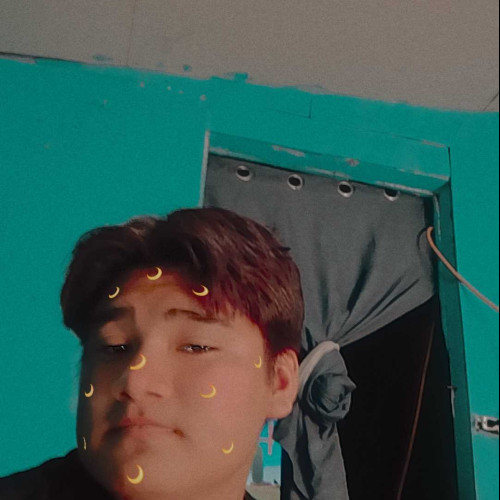 Daniel D. profile photo