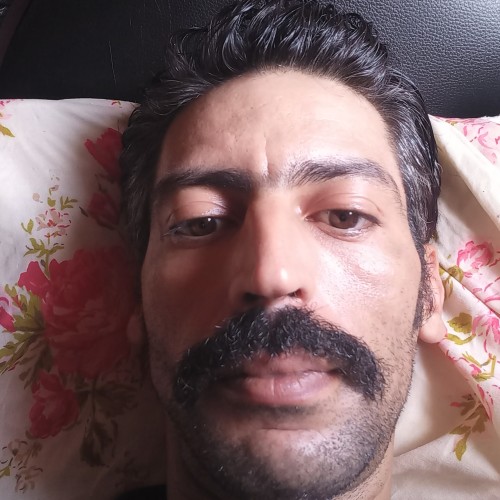 Driss D.
