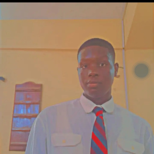 Saul S. profile photo