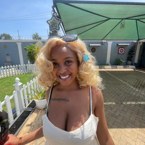 Ashley M. profile photo