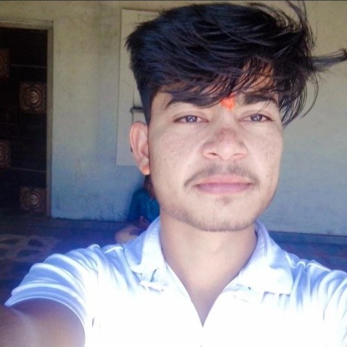 Dinesh K. profile photo