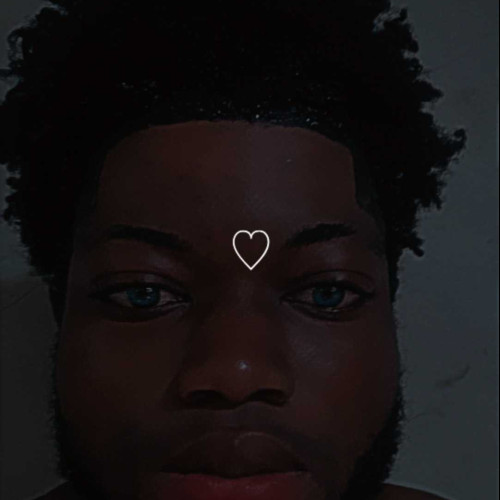 Nick P. profile photo