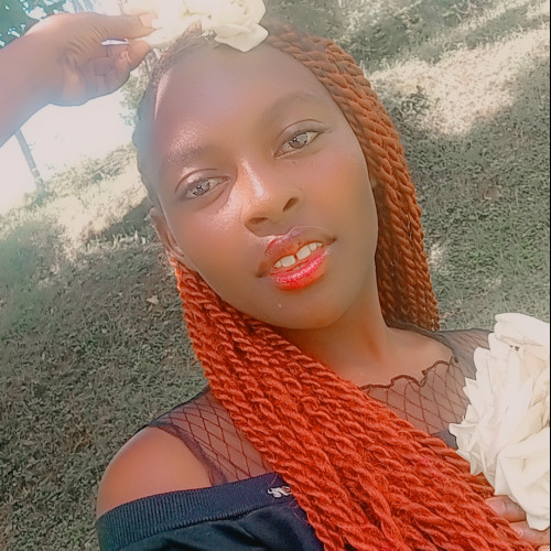 Shealy T. profile photo