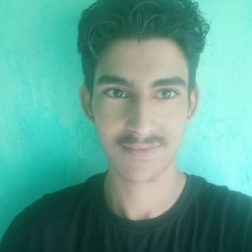 Sujal v. profile photo