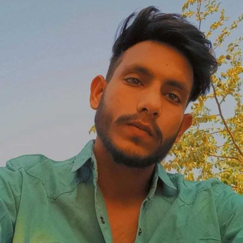 anii c. profile photo
